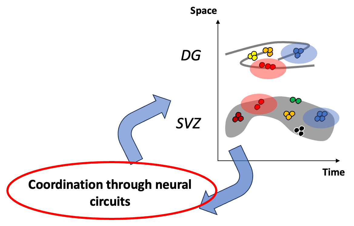 figure image